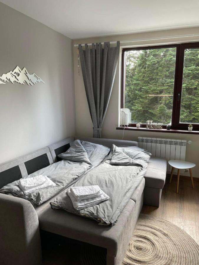 Pine Tree Apartment / Borovets Gardens المظهر الخارجي الصورة