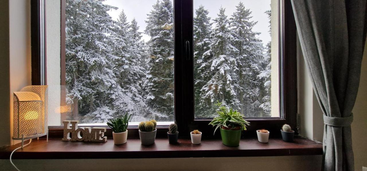 Pine Tree Apartment / Borovets Gardens المظهر الخارجي الصورة