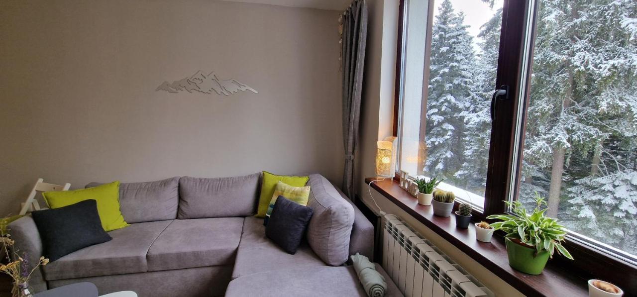Pine Tree Apartment / Borovets Gardens المظهر الخارجي الصورة